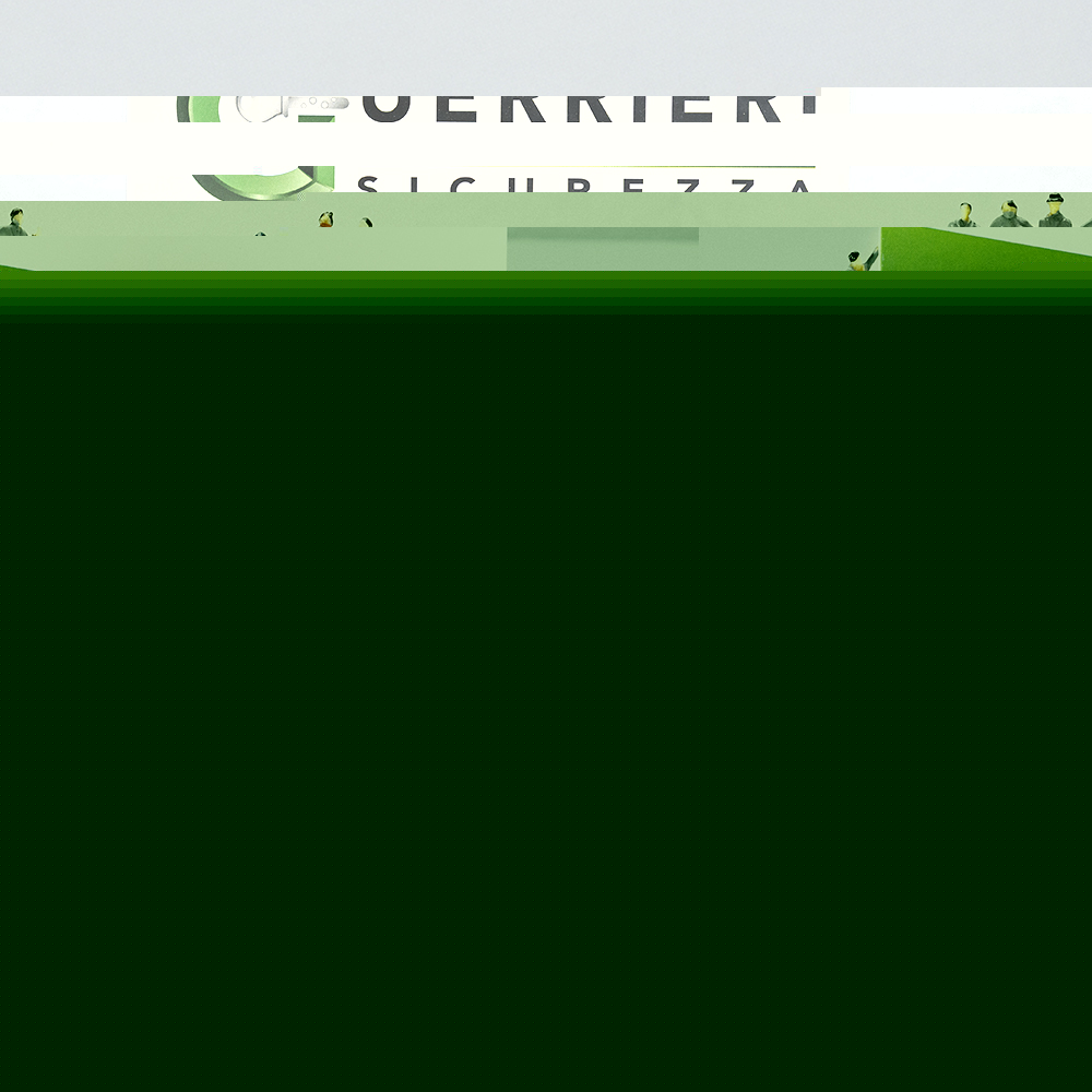 Assistenza - Guerrieri Sicurezza
